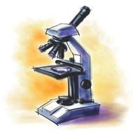 Science Microscope darwing