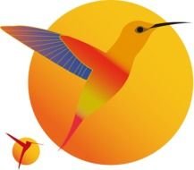 Hummingbird Clip Art N72