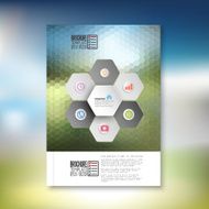 Abstract hexagonal infographic pattern Brochure flyer or report for business