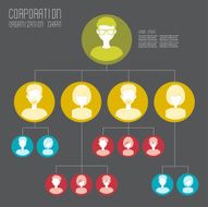 organization chart template