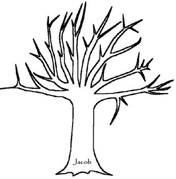 Trees Without Leaves Coloring Pages N4