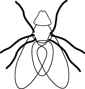 Fly Line Clip Art
