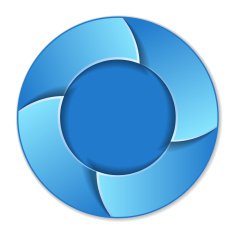 Circle Infographic