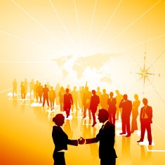 Organizational Business Process Adoption
