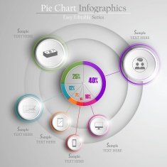 Pie Chart N11