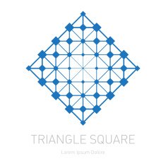 Vector logotype template The low-poly mesh Modern stylish logo