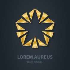 Gold star logo Award 3d icon Golden logotype template