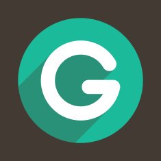Letter G Logo Flat Icon Style Vector