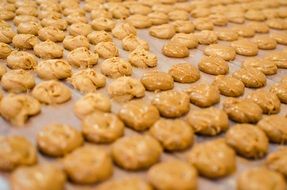 traditional mexican milk fudge