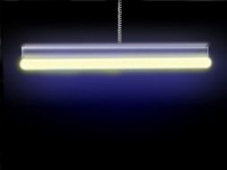 neon lights In the dark