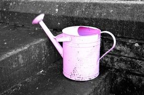 pink metal watering can