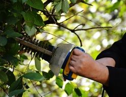 man working in the garden