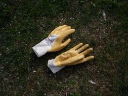 Gloves on ground in the garden