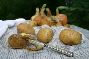 potatoes, onion and kitchen knife