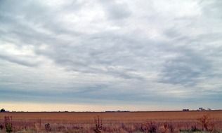 autumn field with corn, indiana