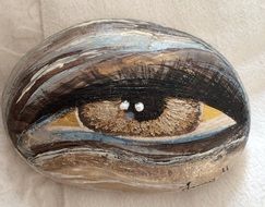 painted female brown eye