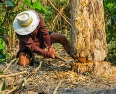 a man in a hat chopping a tree