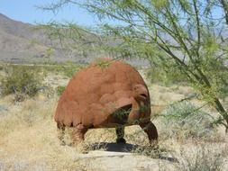 borrego springs california