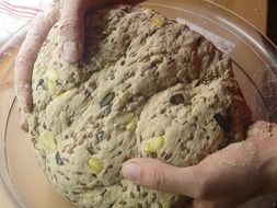 The finished dough in the hands