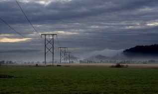 electricity cables in the fog