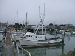 moored yachts in the harbor