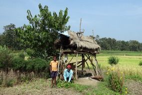 Farmer on the field