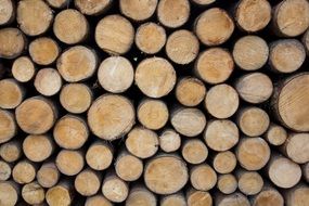 Wood storage
