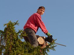 worker with a chainsaw on a tree