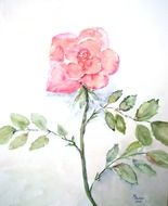 Painting of the pink flower clipart