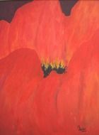 red poppy as artwork