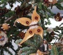 christmas decorations on pine