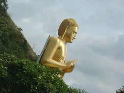 buddha zen