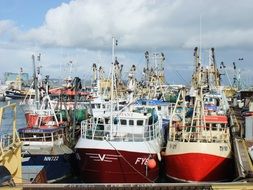 Trawlers in the port