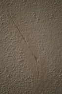 renovation of cracked wall