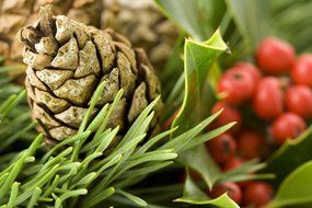 pine cone on Christmas wreath