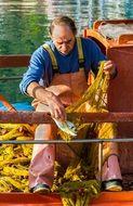 fisherman work