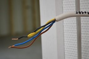 multicolored wires stick out of white cable