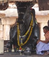 nandi heritage
