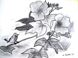 Black and white drawing of the bird on the plant