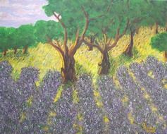 lavender field drawing