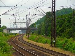 railway near green trees