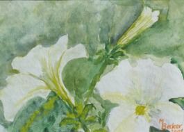 fine art painting of white flowers