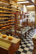 commercial cheese dairy