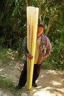 man with a banana root in Thailand