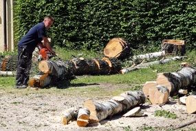 man sawing wood