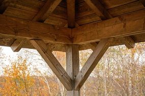 Wooden construction on the background of trees