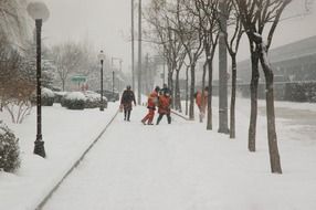 Snowy park in the January