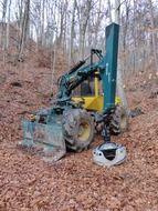 Wood in the forest