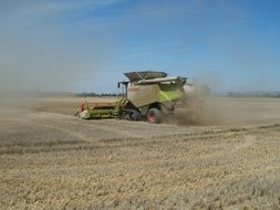field harvest grain work
