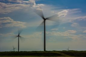 Windmills on the field